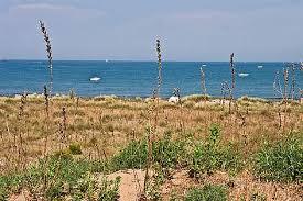 Oasi delle Dune degli Alberoni